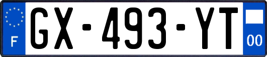 GX-493-YT