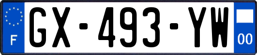 GX-493-YW