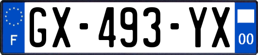 GX-493-YX