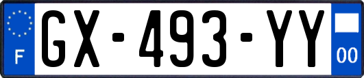 GX-493-YY