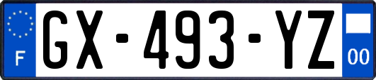 GX-493-YZ
