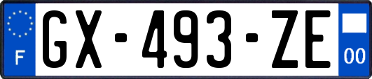 GX-493-ZE