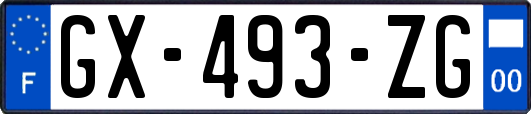 GX-493-ZG