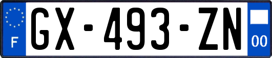 GX-493-ZN