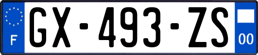 GX-493-ZS