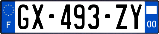 GX-493-ZY