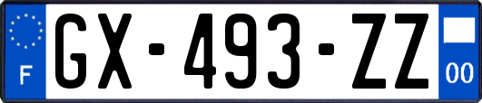 GX-493-ZZ