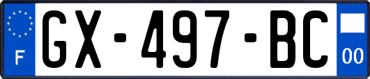 GX-497-BC