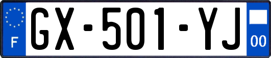 GX-501-YJ