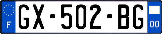 GX-502-BG