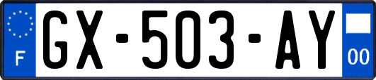 GX-503-AY