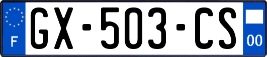 GX-503-CS