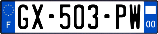 GX-503-PW