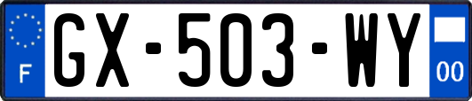 GX-503-WY