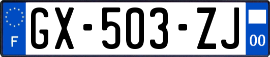 GX-503-ZJ