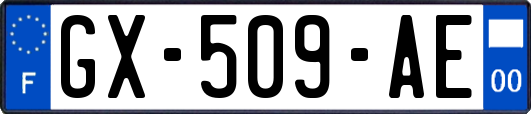 GX-509-AE