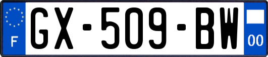 GX-509-BW