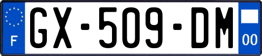 GX-509-DM