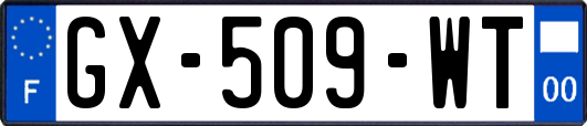 GX-509-WT
