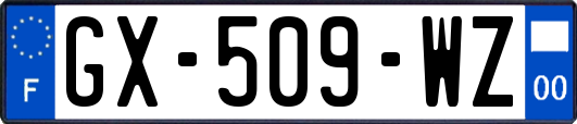 GX-509-WZ
