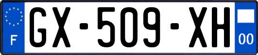 GX-509-XH