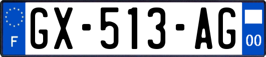 GX-513-AG