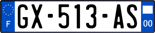 GX-513-AS
