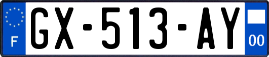 GX-513-AY