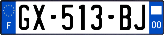 GX-513-BJ