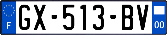 GX-513-BV