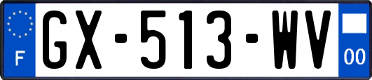 GX-513-WV