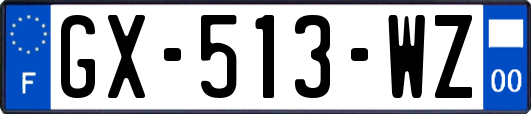 GX-513-WZ
