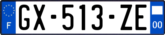 GX-513-ZE