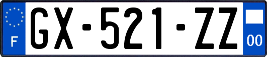 GX-521-ZZ