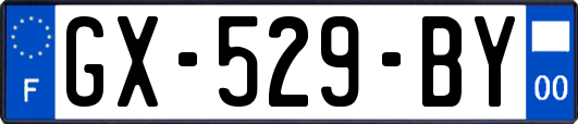GX-529-BY