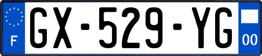 GX-529-YG