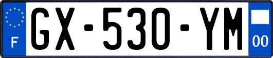 GX-530-YM