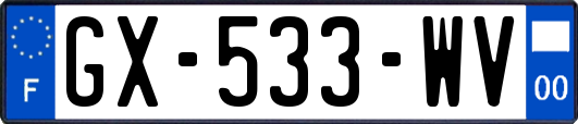 GX-533-WV