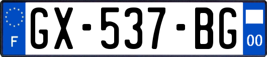 GX-537-BG