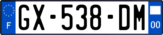 GX-538-DM