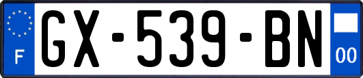 GX-539-BN