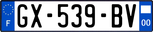 GX-539-BV