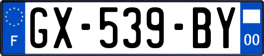 GX-539-BY