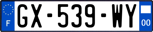 GX-539-WY