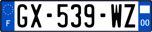 GX-539-WZ