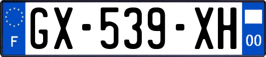 GX-539-XH