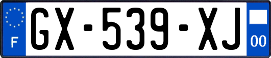 GX-539-XJ