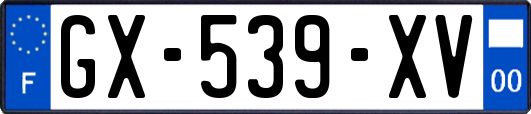 GX-539-XV