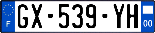 GX-539-YH