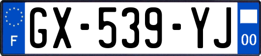 GX-539-YJ